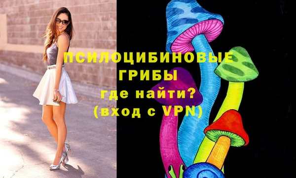 круглые Переславль-Залесский