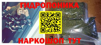 гидропоника Будённовск