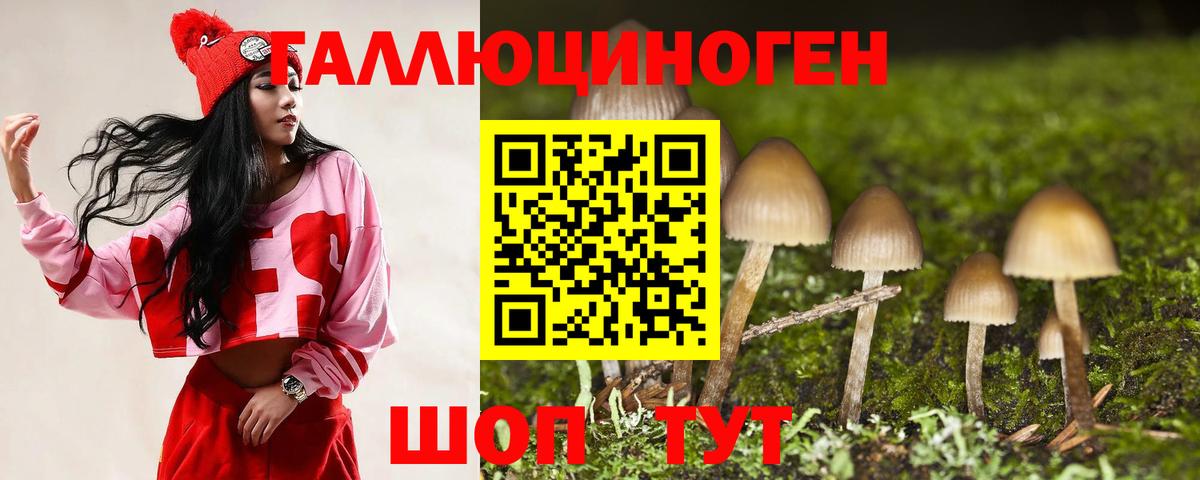 Псилоцибиновые грибы Psilocybine cubensis Кириши